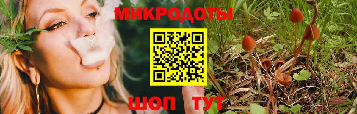 Галлюциногенные грибы мицелий Шебекино
