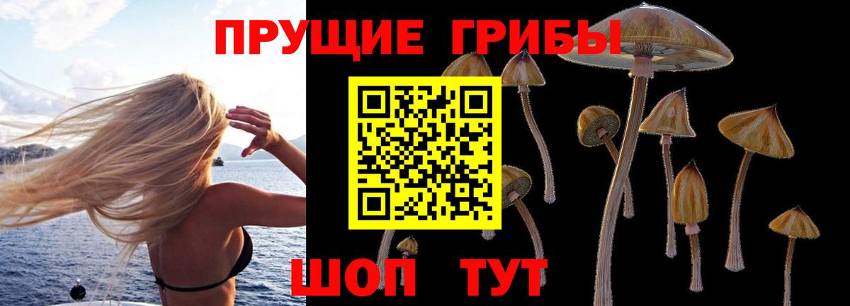 Псилоцибиновые грибы мицелий  Вход с VPN  продажа наркотиков  Шебекино 
